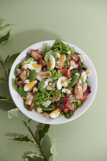 Caesar Chicken Salad